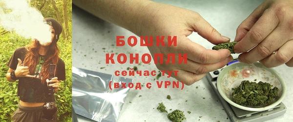 спиды Бежецк
